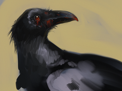 Raven digital illustration digital painting drawing illustration raven sketch sketchbook