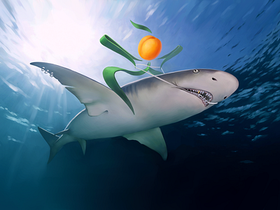 Wild Apricot • Calendar • Around the World • Australia digital illustration digital painting drawing flare illustration light sea shark underwater