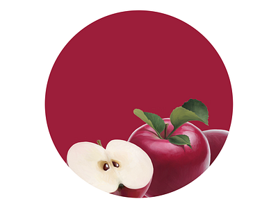 Apple apple digital illustration digital painting drawing food fruits illustration package packaging