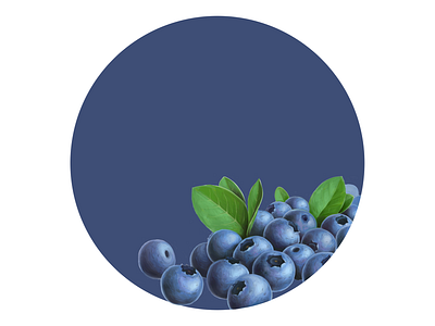 Bilberry bilberry digital illustration digital painting drawing food fruit illustration package packagedesign packaging packaging design