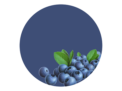 Bilberry