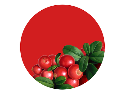 Cowberry cowberry digital illustration digital painting drawing food fruit illustration package package design packaging packaging design