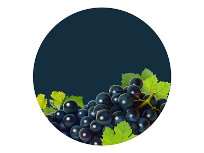 Grape digital illustration digital painting drawing food fruit grape illustration package package design packaging