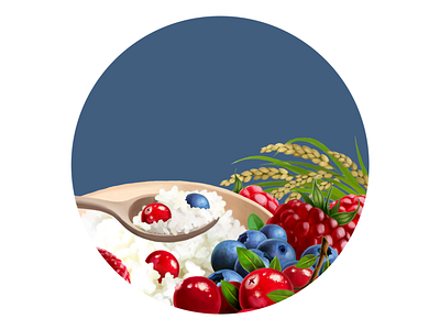 Porridge Forest Mix digital illustration digital painting drawing food fruit illustration package packaging porridge