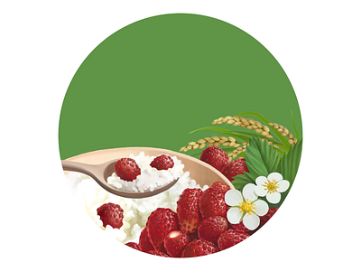 Porridge Wild Strawberry digital illustration digital painting drawing food fruit illustration package packaging strawberry