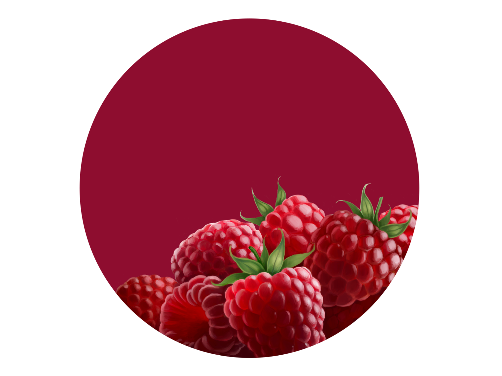 hosting website on raspberry pi