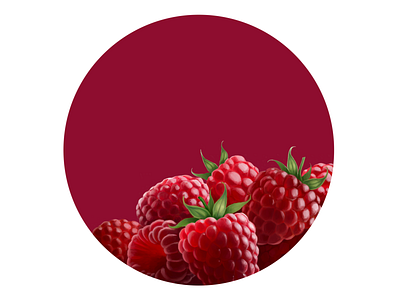 Raspberry digital illustration digital painting drawing food fruit illustration package packaging raspberry