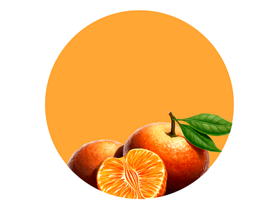 Tangerine digital illustration digital painting drawing food fruit illustration package packaging tangerine