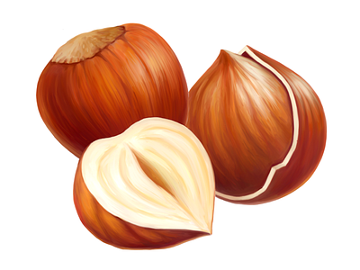 Cadbury • Hazelnut • Illustrations for packaging digital illustration digital painting drawing food hazelnut illustration nuts package packaging