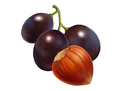 Cadbury • Grape/Hazelnut • Illustrations for packaging digital illustration digital painting drawing food fruit grape hazelnut illustration nut package packaging