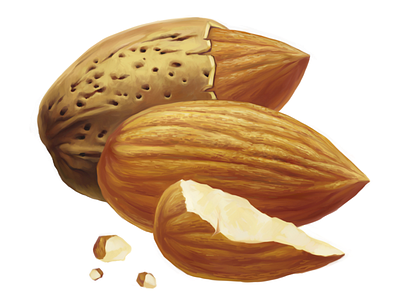 Cadbury • Almond • Illustrations for packaging almond digital illustration digital painting drawing food fruit illustration nuts package packaging