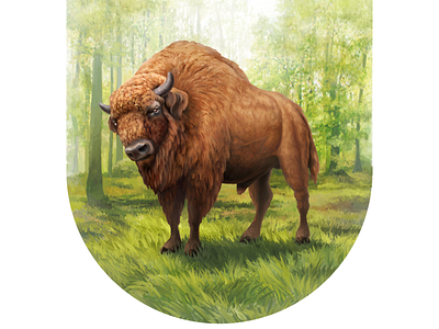 Bulbash • Aurochs • Illustrations for packaging aurochs bull digital illustration digital painting drawing food forest illustration package packaging