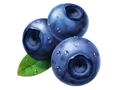 Dirol • Blueberry • Illustrations for packaging blueberry digital illustration digital painting dirol drawing food fruit illustration package packaging
