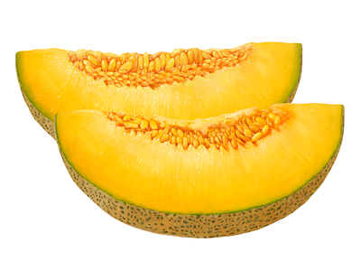 Dirol • Melon • Illustrations for packaging digital illustration digital painting dirol drawing food fruit illustration melon package packaging