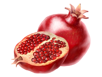 Dirol • Pomegranate • Illustrations for packaging dirol food fruit illustration package pomegranate