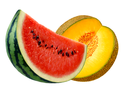 Dirol • Watermelon/Melon • Illustrations for packaging dirol food fruit illustration melon package packaging watermelon