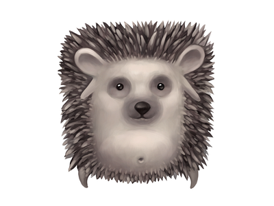 Hedgehog • Square Animals World animals hedgehog