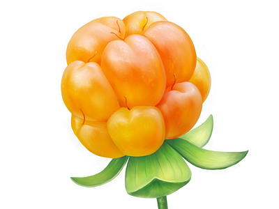 Cloudberry • Taiga Romance cloudberry food fruit illustration package packaging