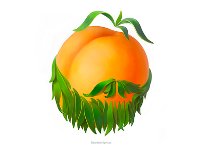 Bearded Apricot • Series of avatars for colleagues apricot avatar avatars bread illustration