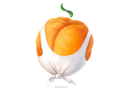 Muscular Apricot • Series of avatars for colleagues