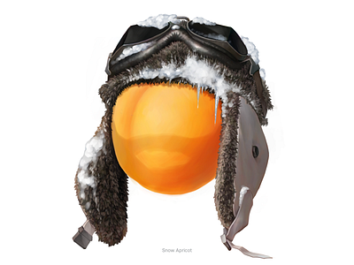 Snow Apricot • Series of avatars for colleagues