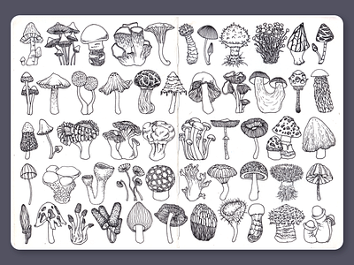 Mushrooms • Sketchbook blackandwhite dotwork drawing illustration ink lineart moleskine mushrooms