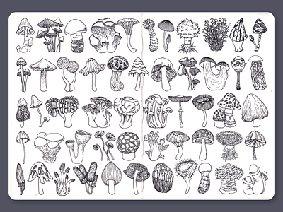 Mushrooms • Sketchbook