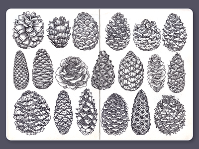 Cones • Sketchbook blackandwhite cones dotwork drawing illustration ink lineart moleskine sketchbook