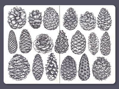 Cones • Sketchbook