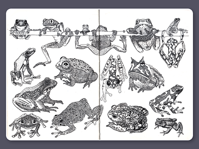 Frogs • Sketchbook blackandwhite dotwork drawing frogs illustration ink lineart moleskine sketchbook