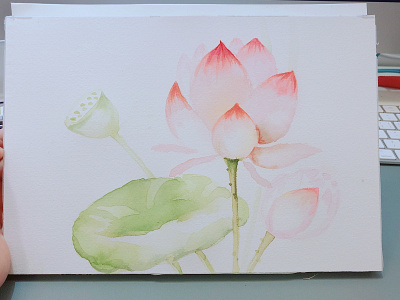 Lotus watercolor painting flower lotus flower watercolor painting