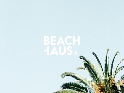 BEACHHAUS Logo beach brandon corporate design font logo palms summer swimwear type typography