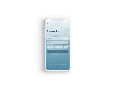 Aerolíneas Argentinas Redesign app design ui ux