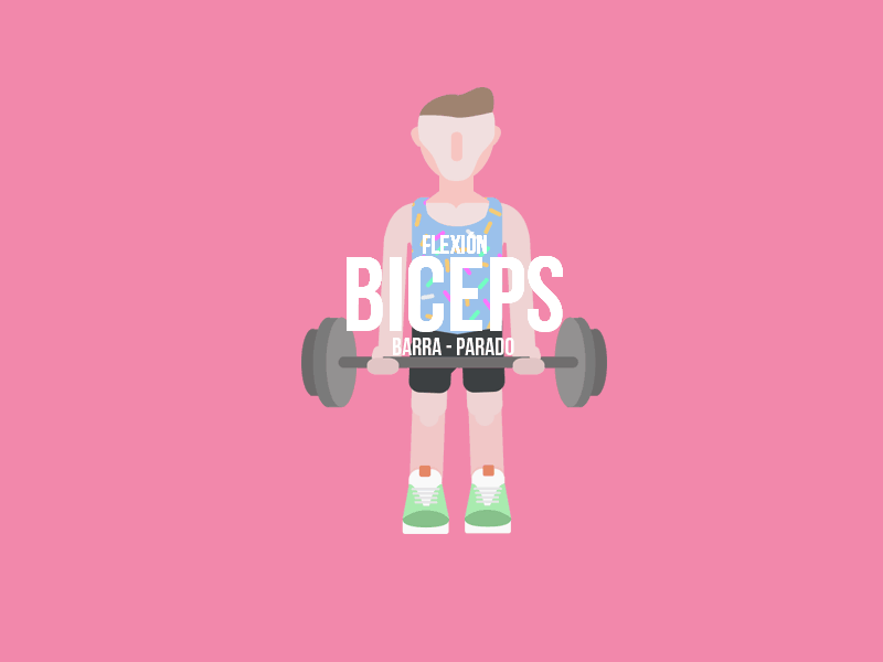 Bicep bicep exercises fitness gym illustration vector weights workout