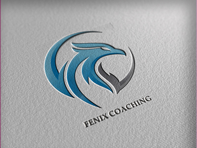 fenix coaching