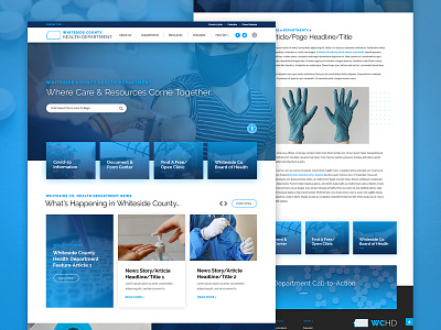 Whiteside County Health Department Landing Page design government homepage web