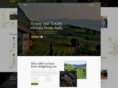 Winery wine shop and liquor store. liquor minimalist shop store trendy vineyard webdesign website design wine winery