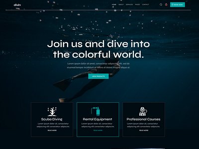 Surfing & scuba diving landing page creative diving minimalist scuba surfing webdesign website design