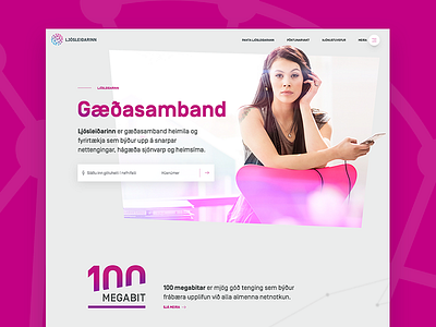 Award winning web design for Reykjavik Fiber Optics color corporate dynamic front page original