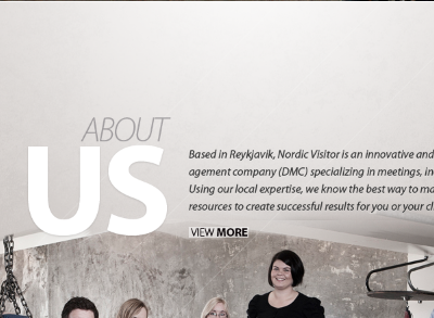 dmc for iceland, loving this typography design myriad pro textures typography web design