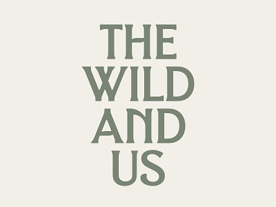 The Wild and Us branding flare serif lettering logo rounded