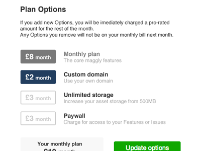 maggly Plan Options maggly payment plan subscription