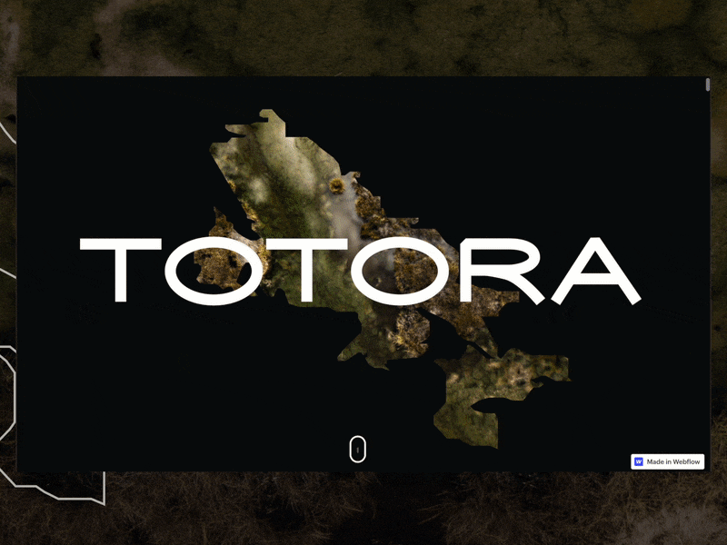 Totora Power animation branding journey peru ui uros webflow website