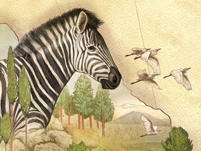 Zebra africa animals birds calendar drawing illustration landscape map sky tree wildlife zebra