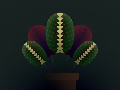 Calathea