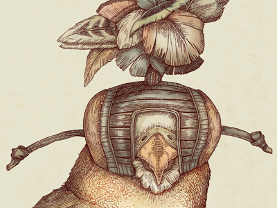Bird of Prey beak bird botanical digital drawing etching feather hawk illustration line work painting