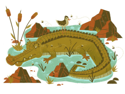 Let sleeping crocodiles lie bird brush cartoon character crocodile hand drawn illustration plant rock texture water wild life