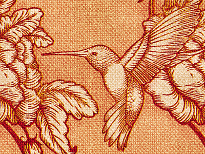 Hummingbird bird design drawing fabric feather flower humming bird illustration nectar pattern texture wings