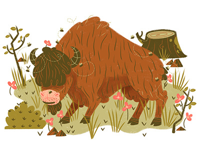 Bison Bison animal bison character drawing flies flower fur grass hooves horns illustration texture