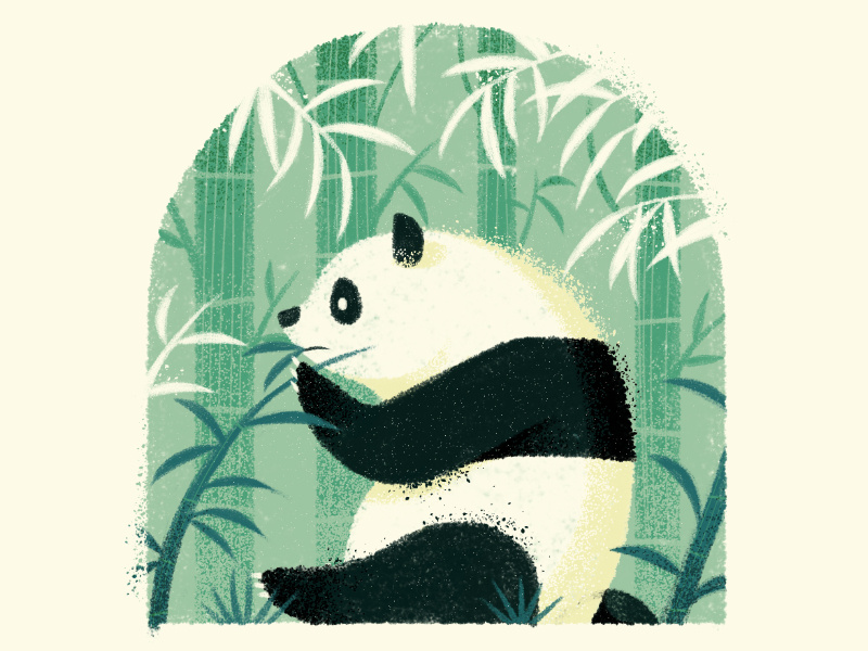 Happy Earth Day texture drawing character earth animal spot bear bamboo wildlife nature panda illustration